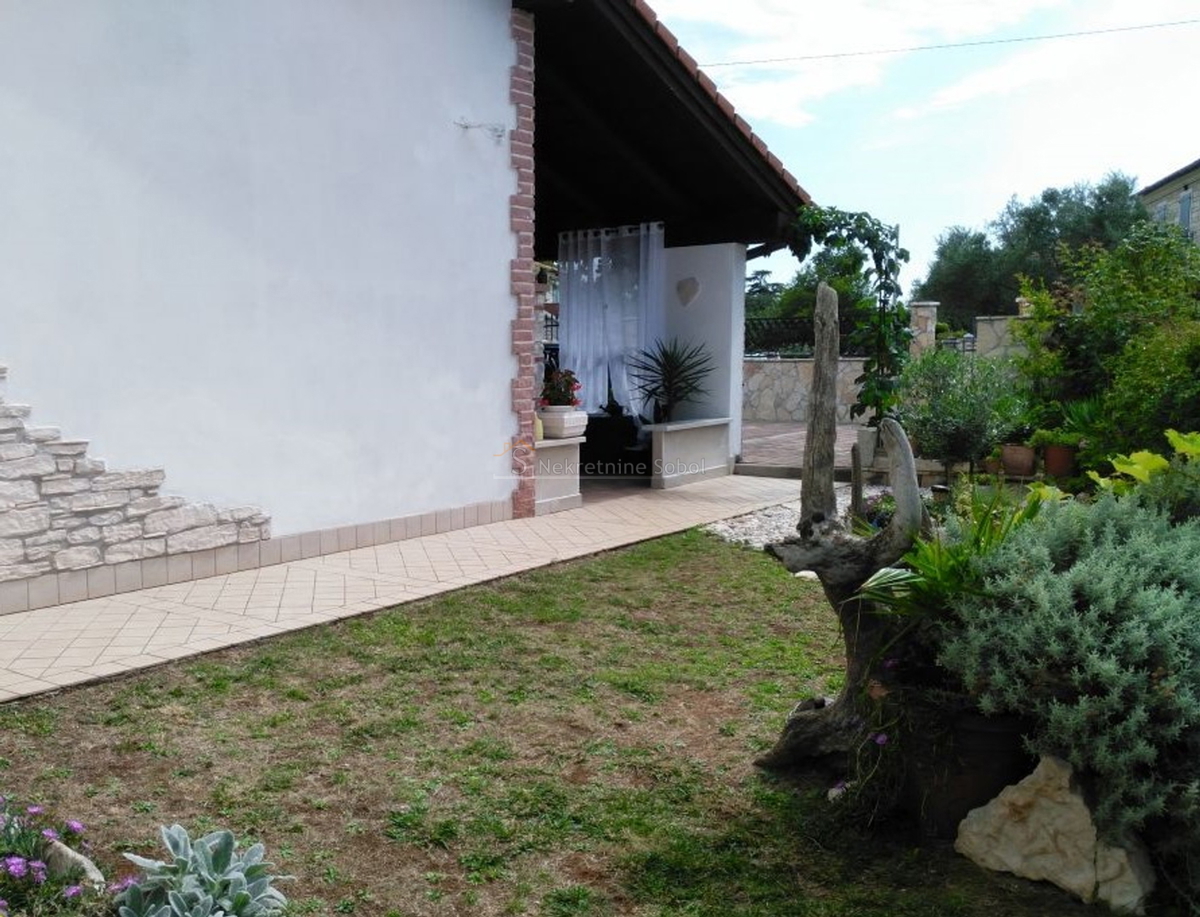 BUIĆI