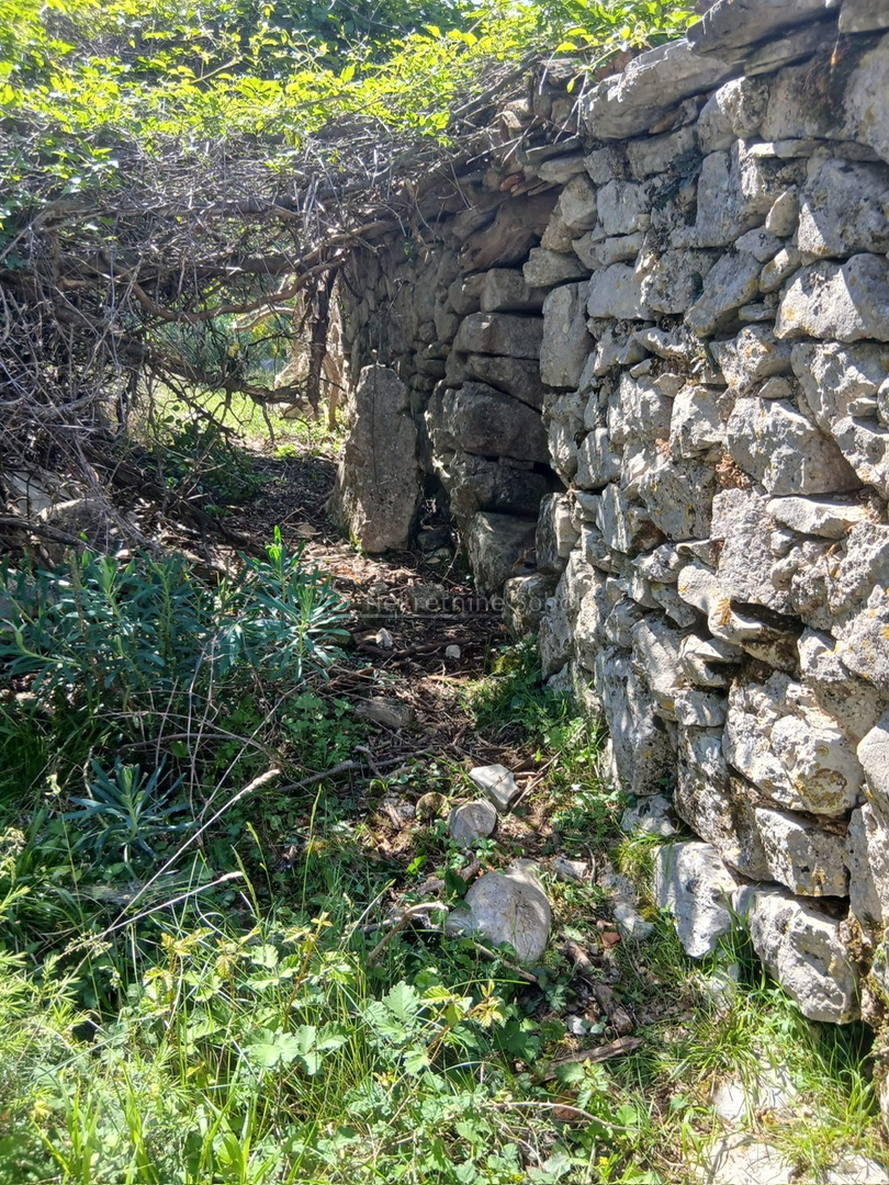 image 14