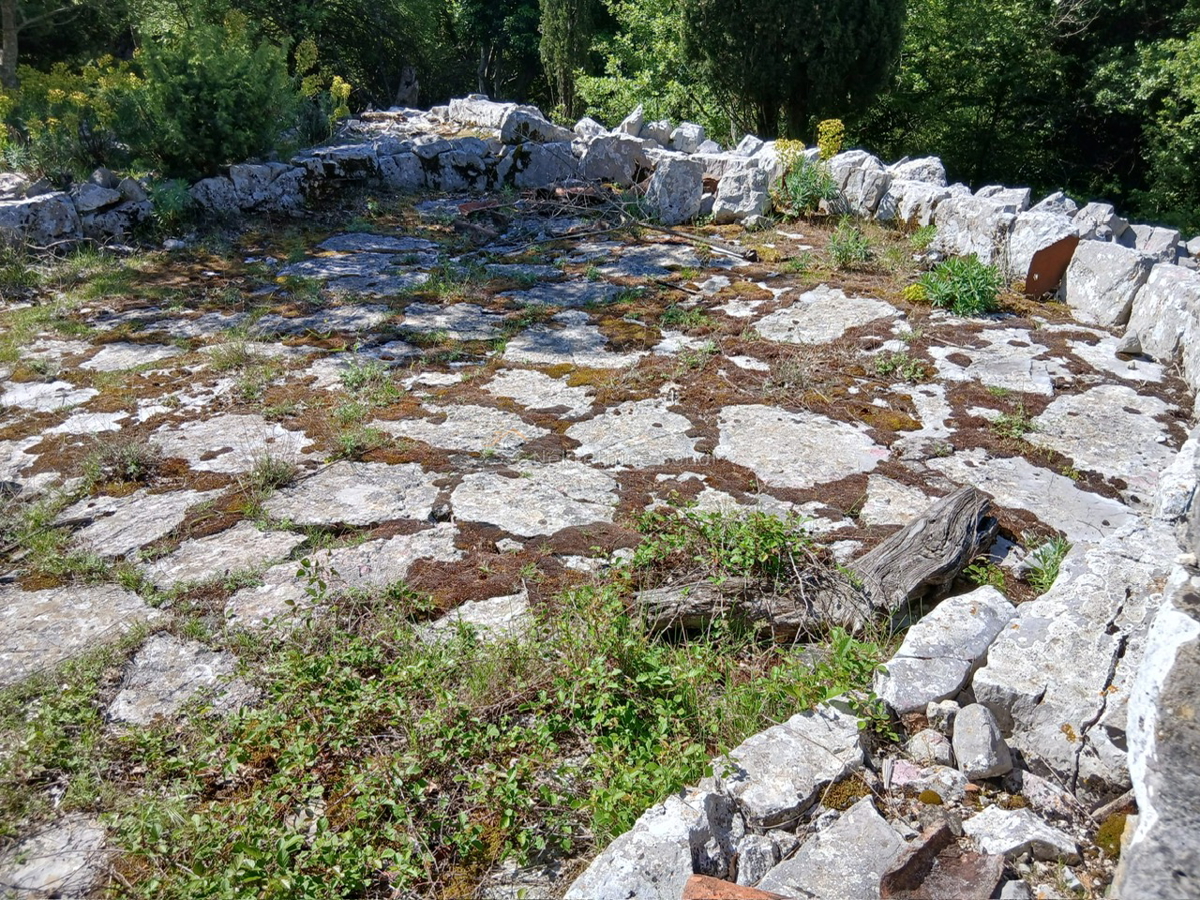 image 13