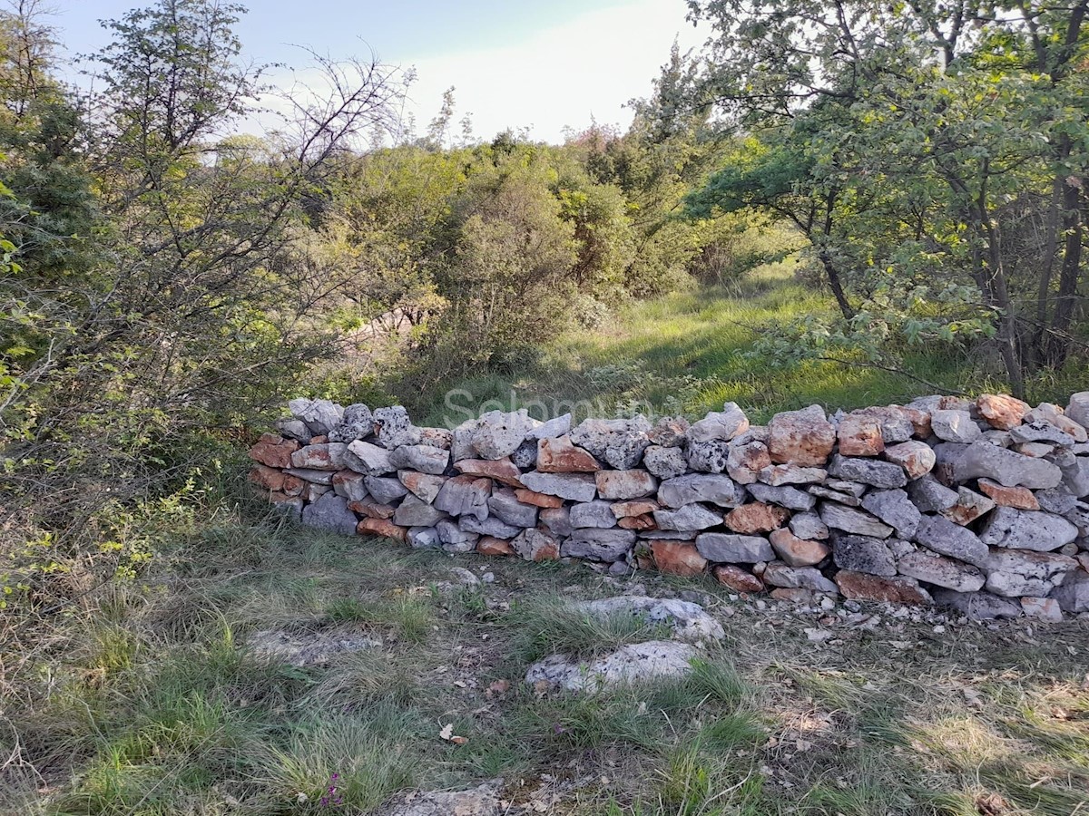ROVINJSKO SELO