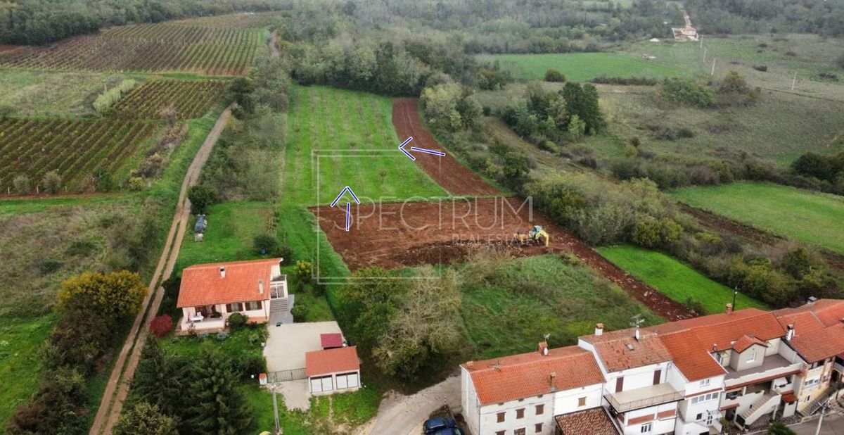 VIŽINADA