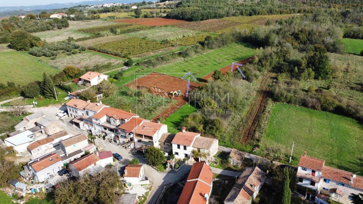 VIŽINADA