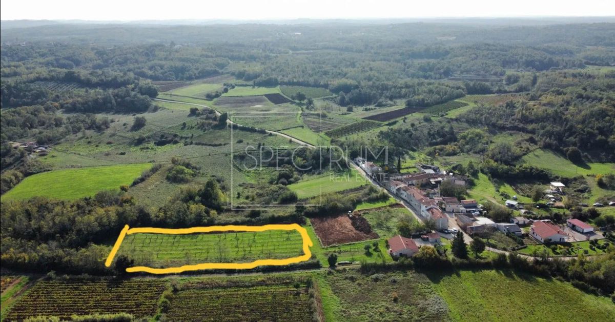 VIŽINADA