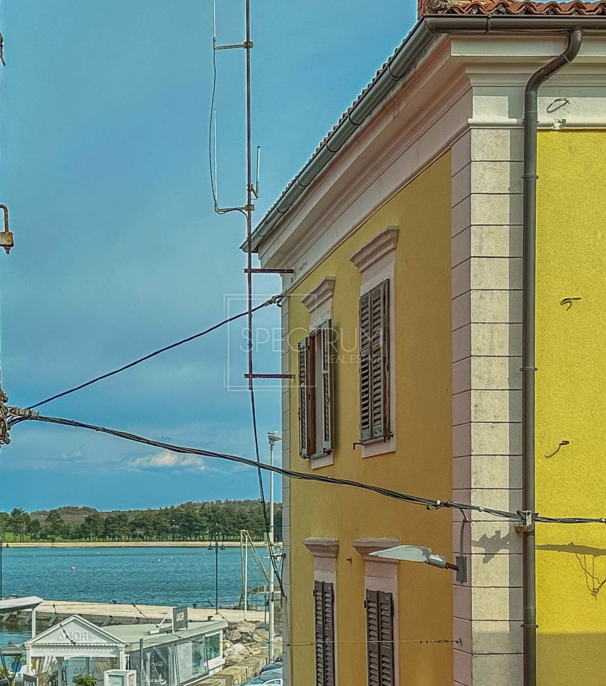 NOVIGRAD