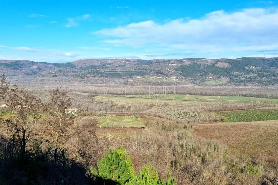 MOTOVUN