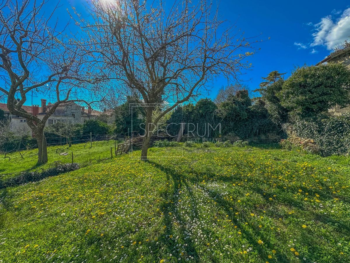 image 26