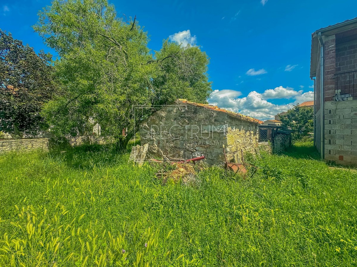 BRTONIGLA