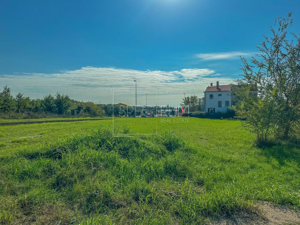 NOVIGRAD