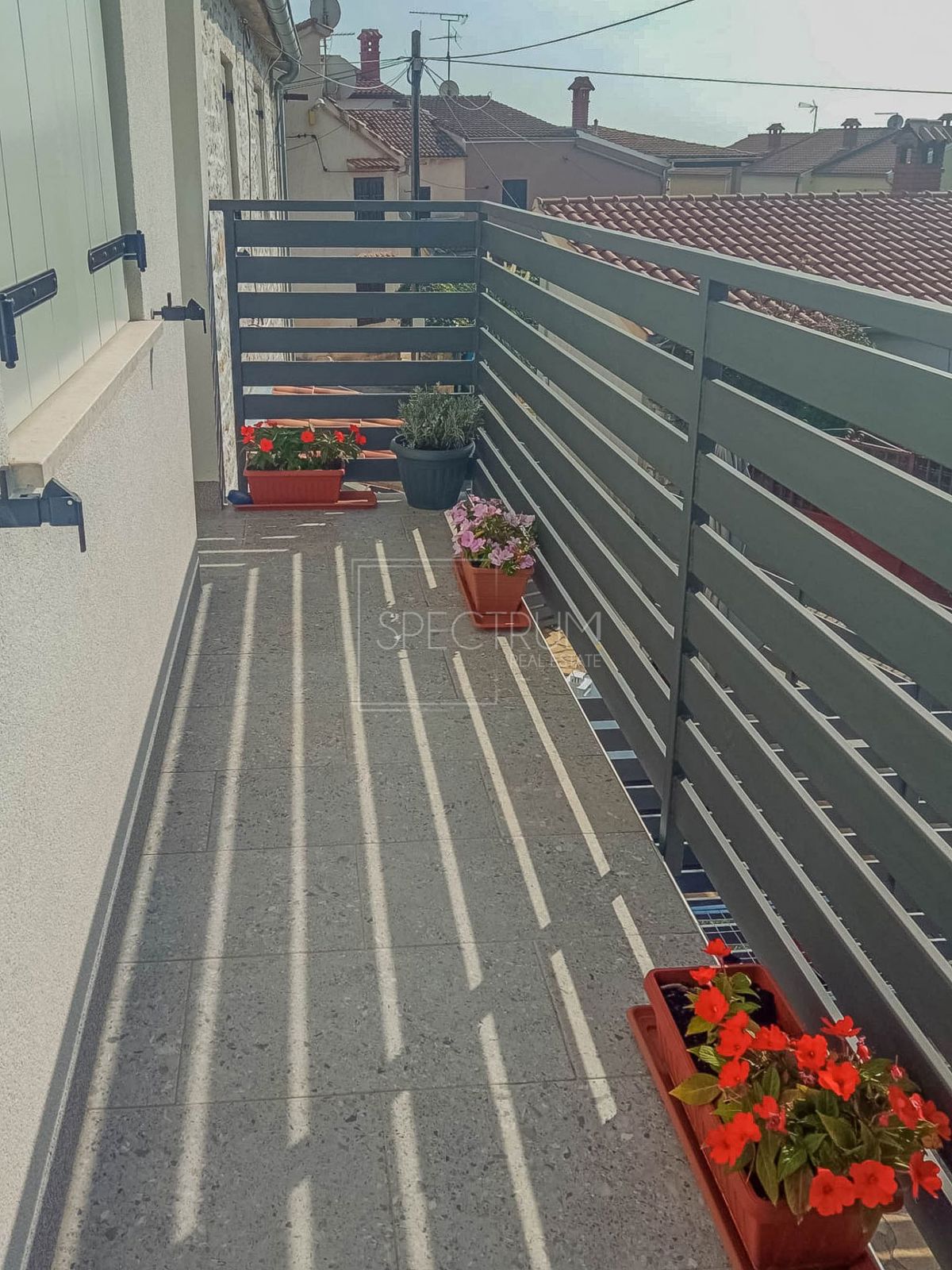 image 23