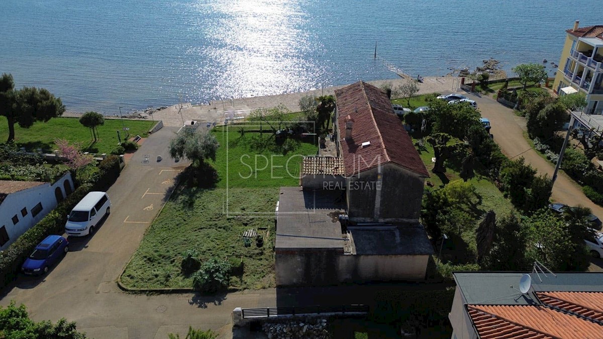 NOVIGRAD