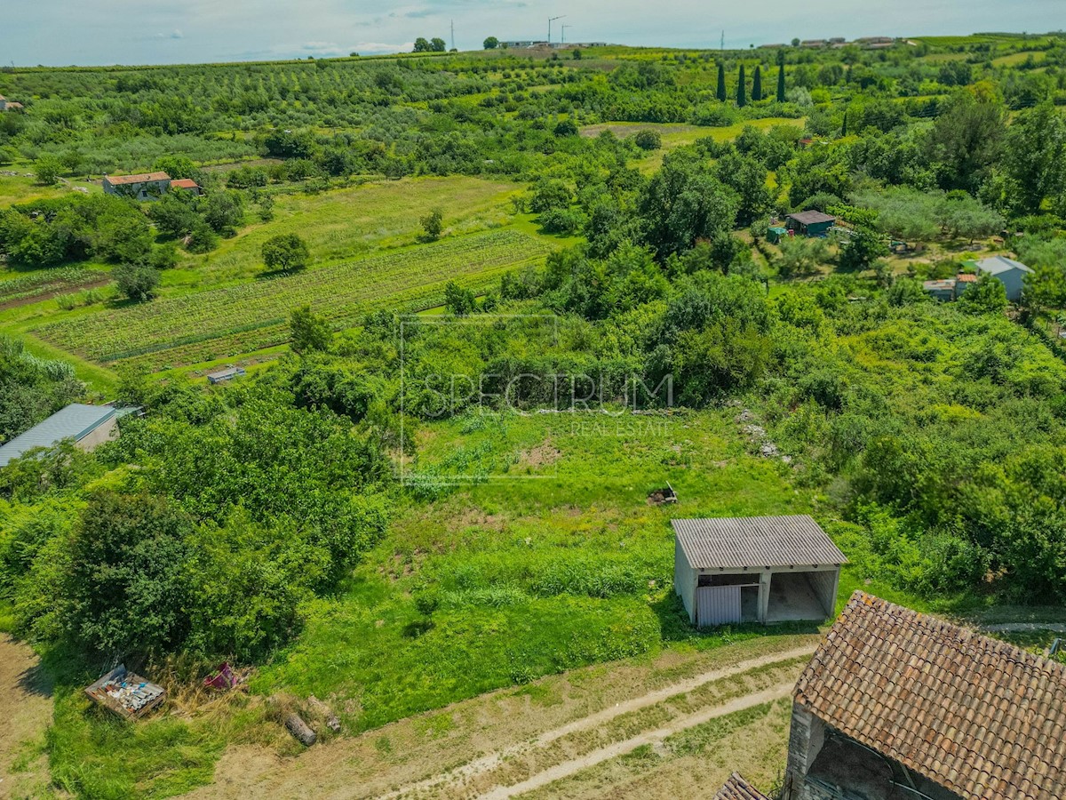 BRTONIGLA