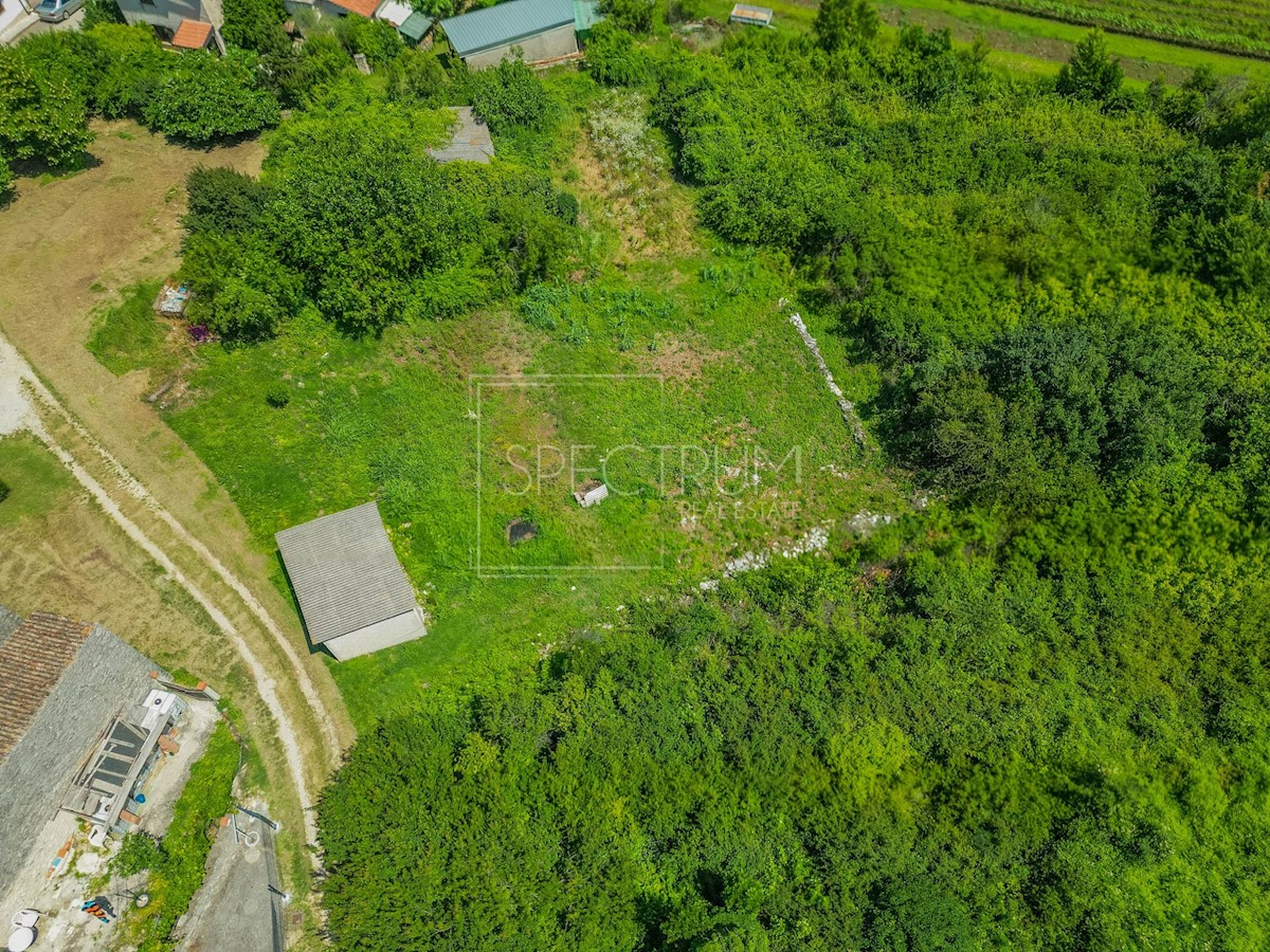 BRTONIGLA