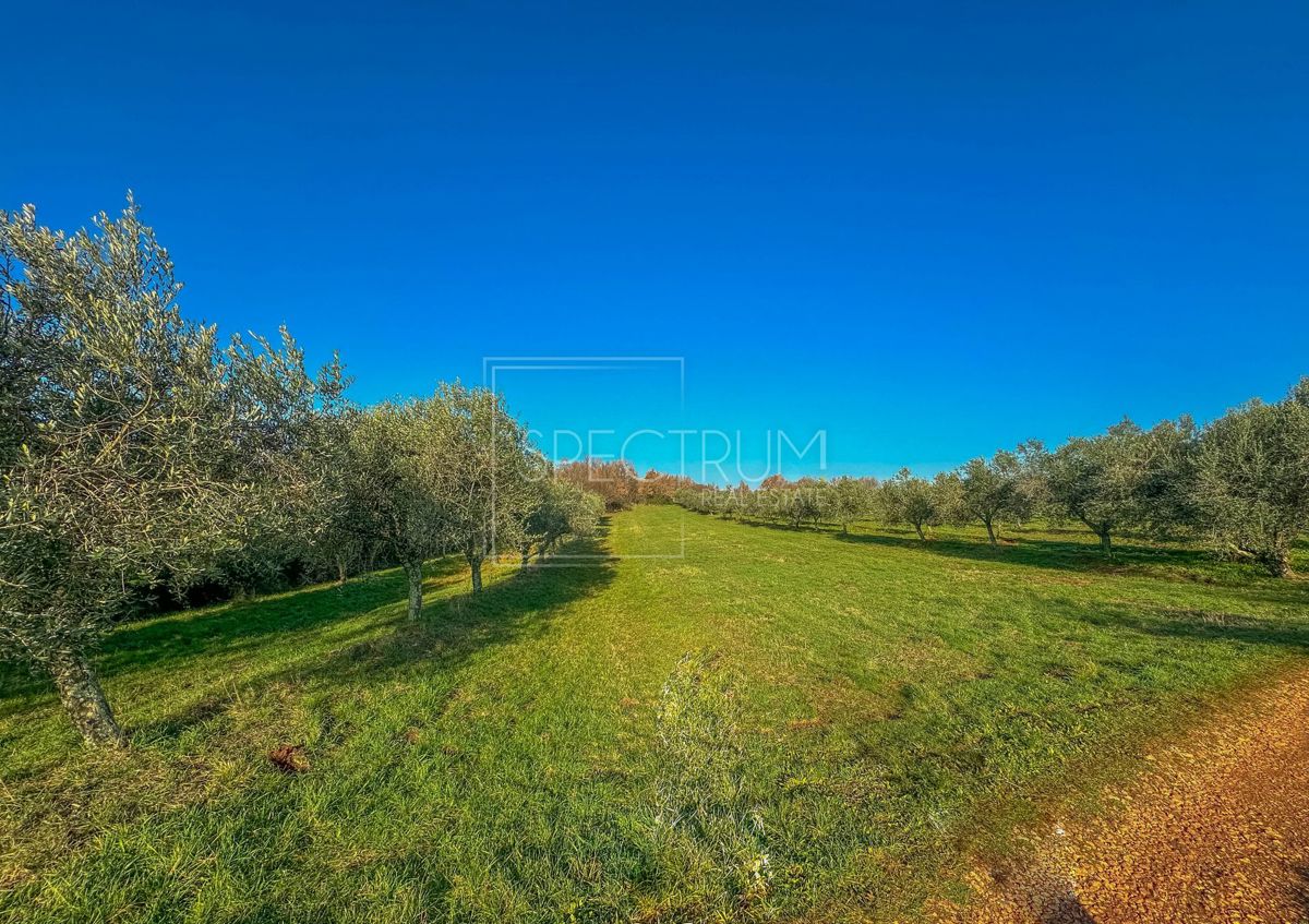 Участок BRTONIGLA, 31.000 €