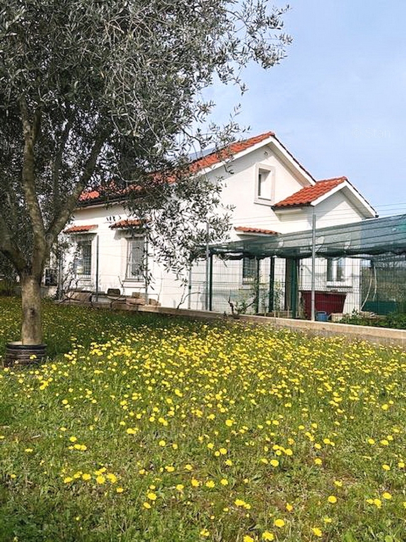 MALINSKA