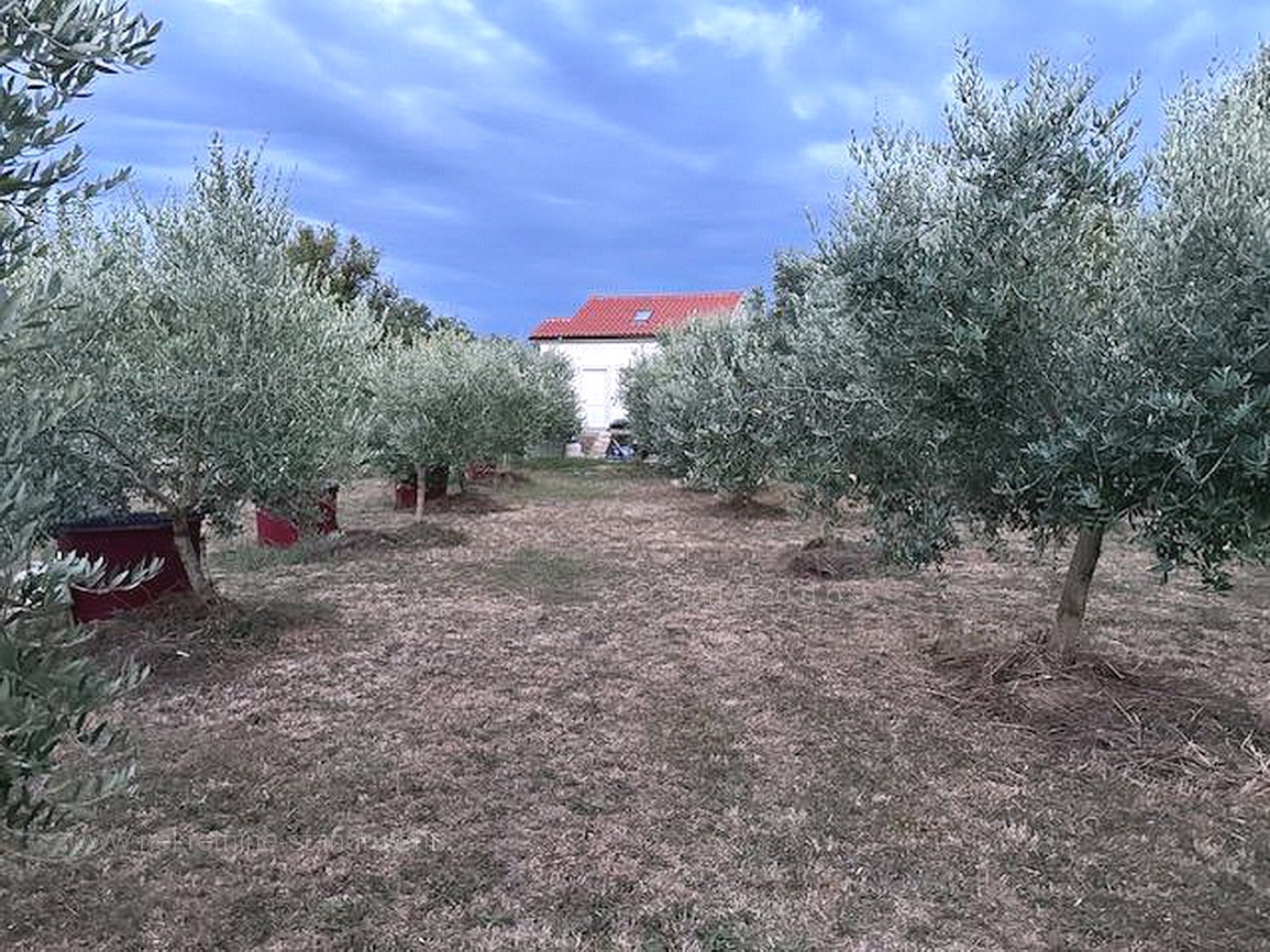 MALINSKA