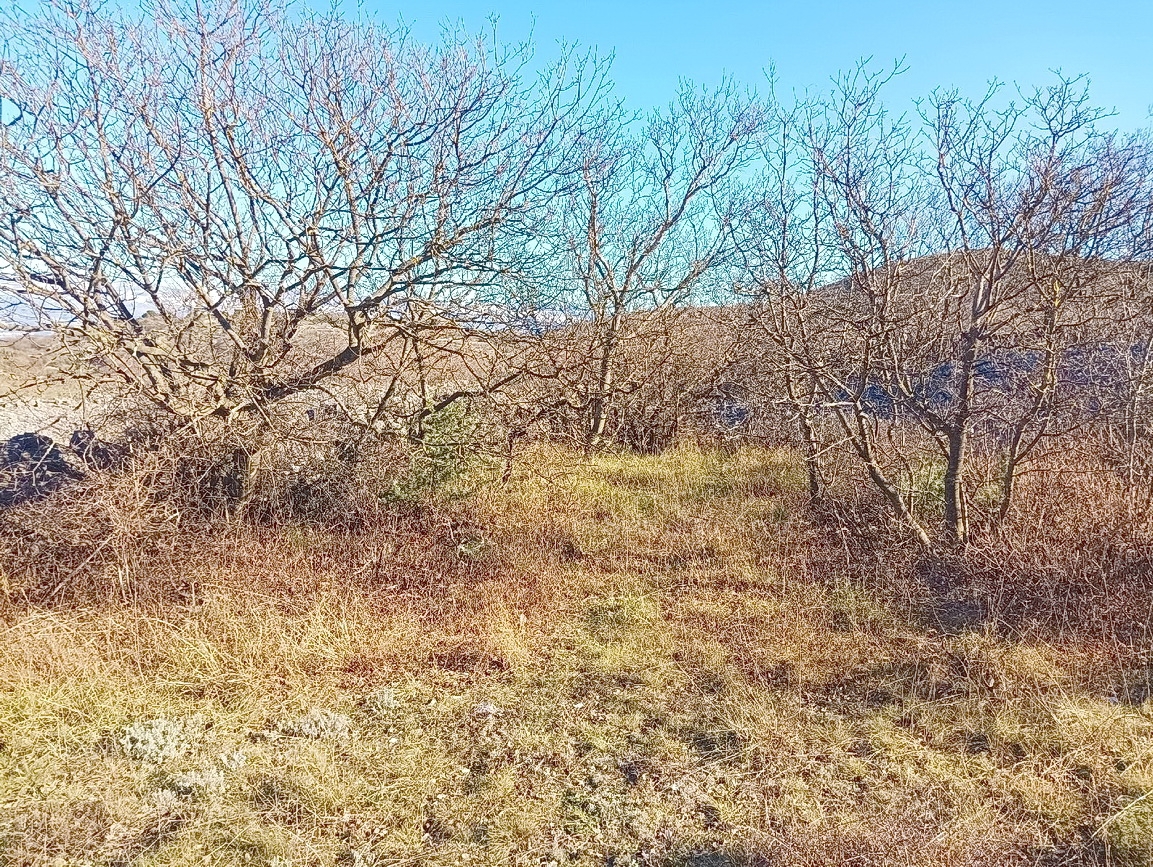 VRBNIK