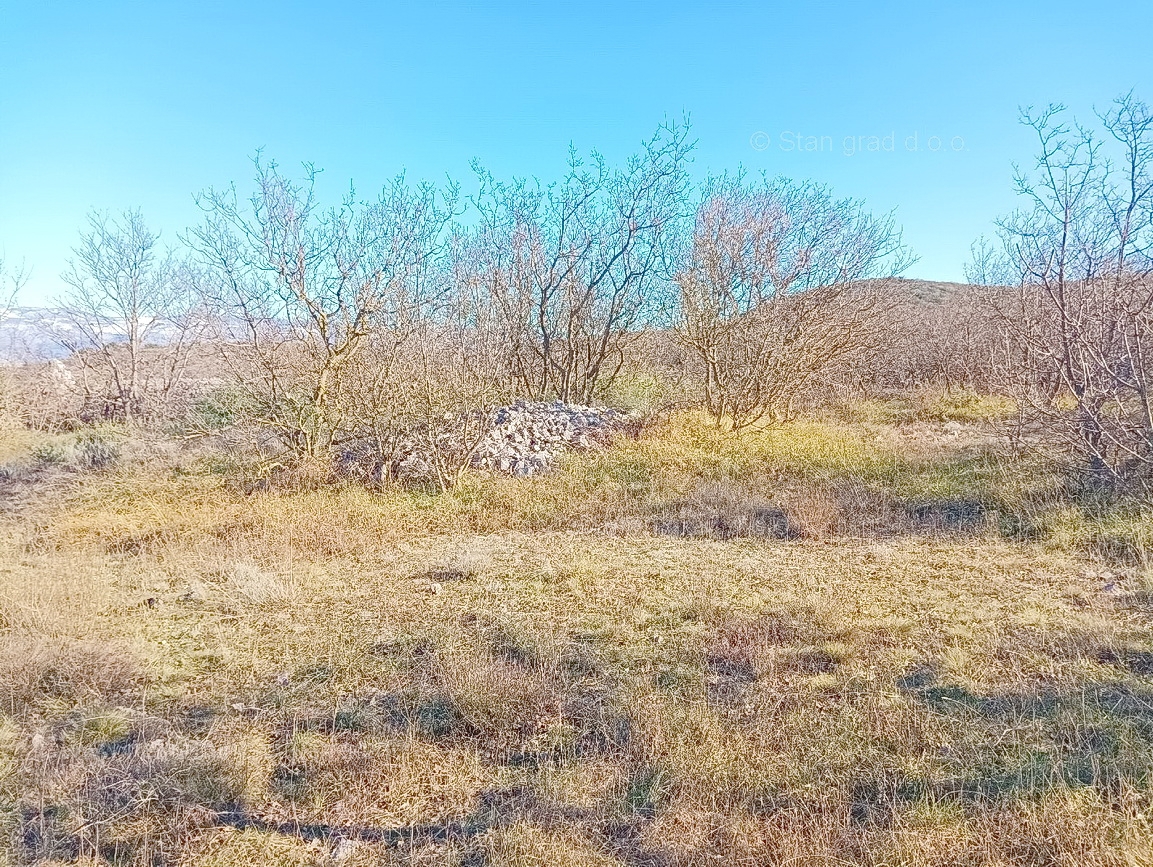VRBNIK