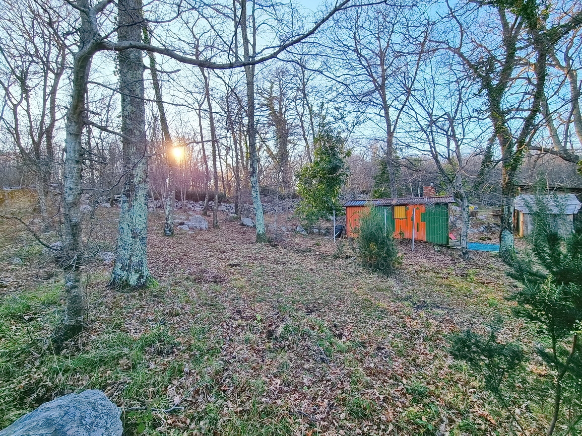 VRBNIK
