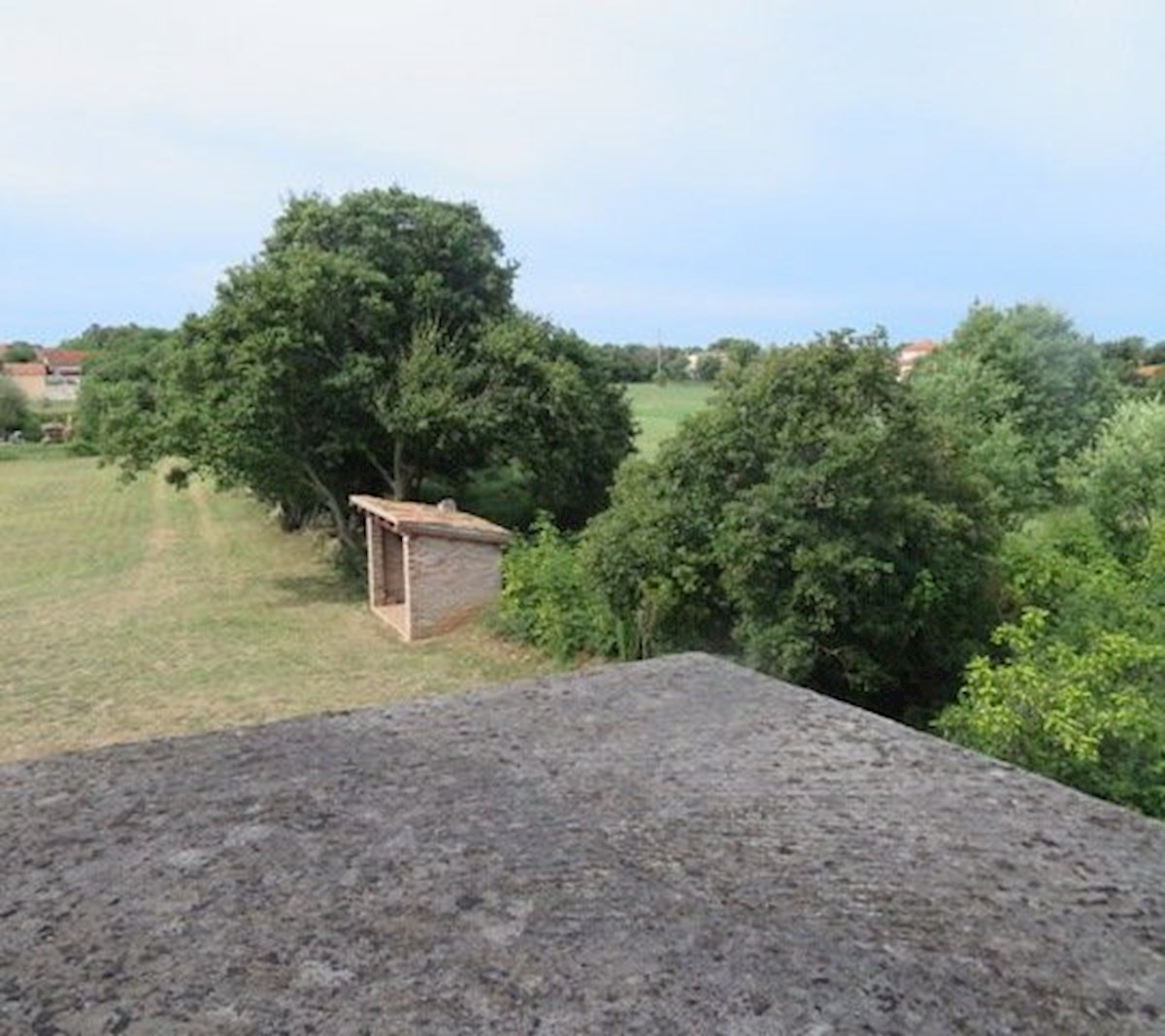 PULA