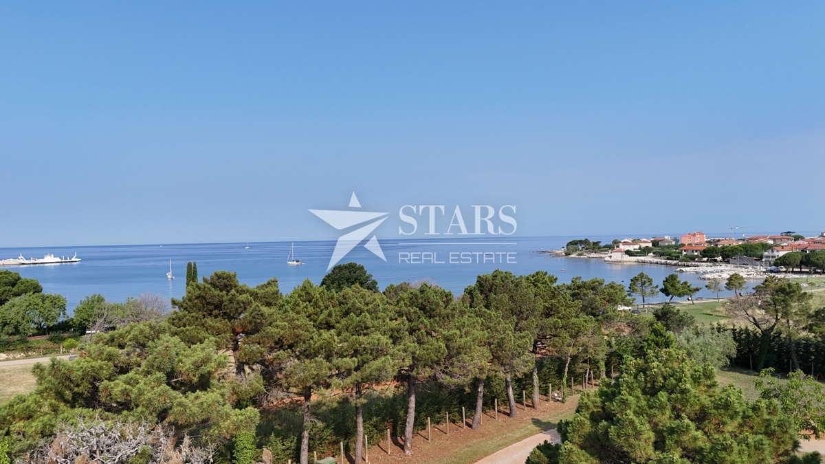 UMAG