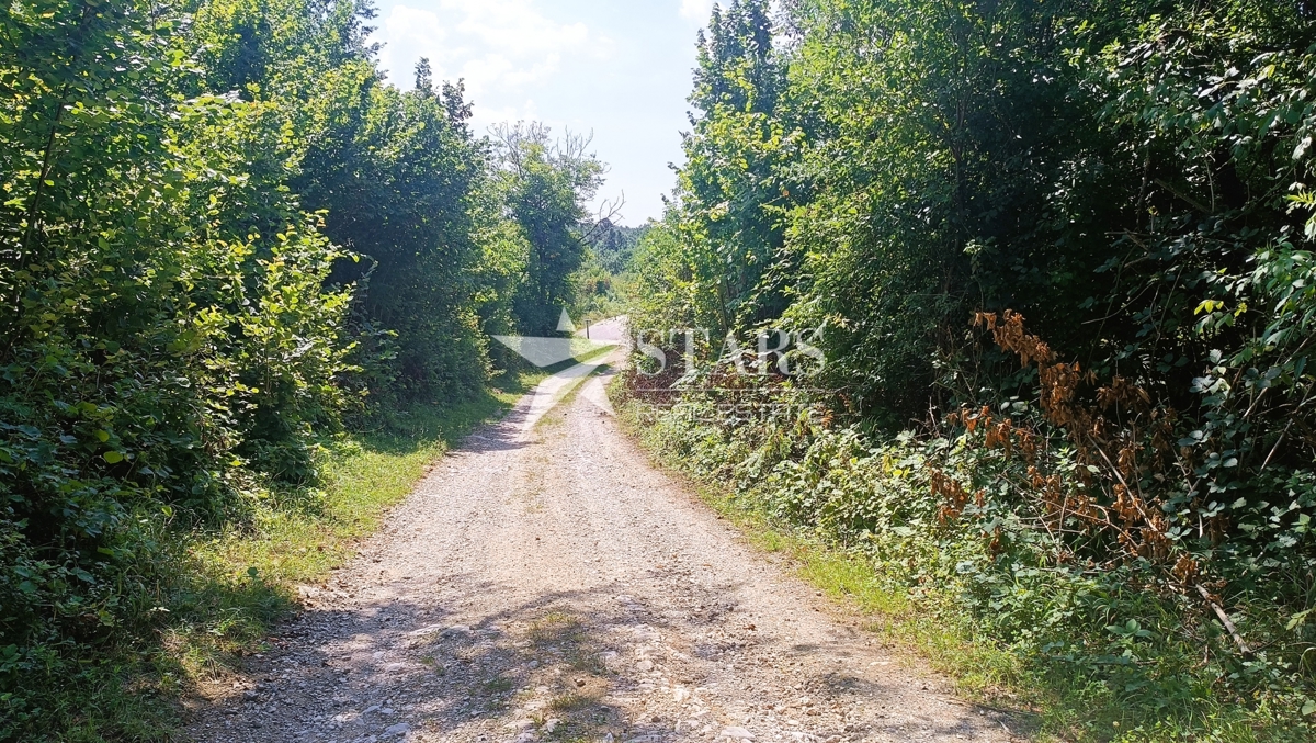 KLANAC PERJASIČKI