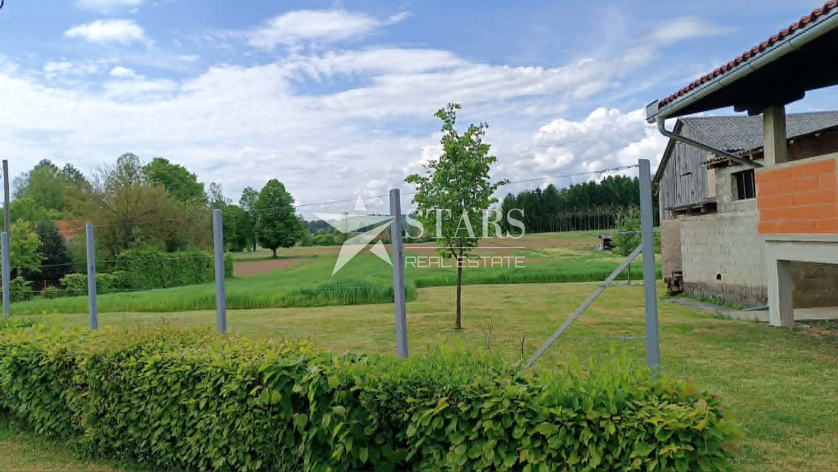 image 39