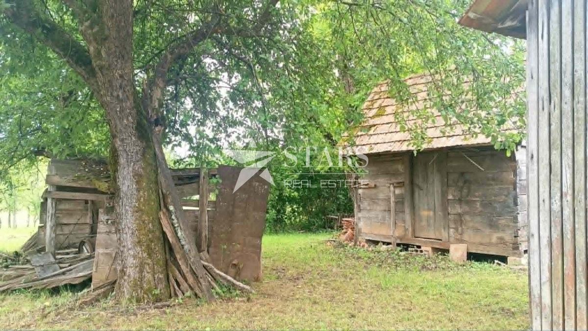 image 14
