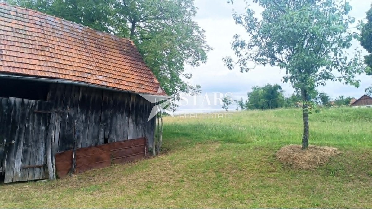 image 13