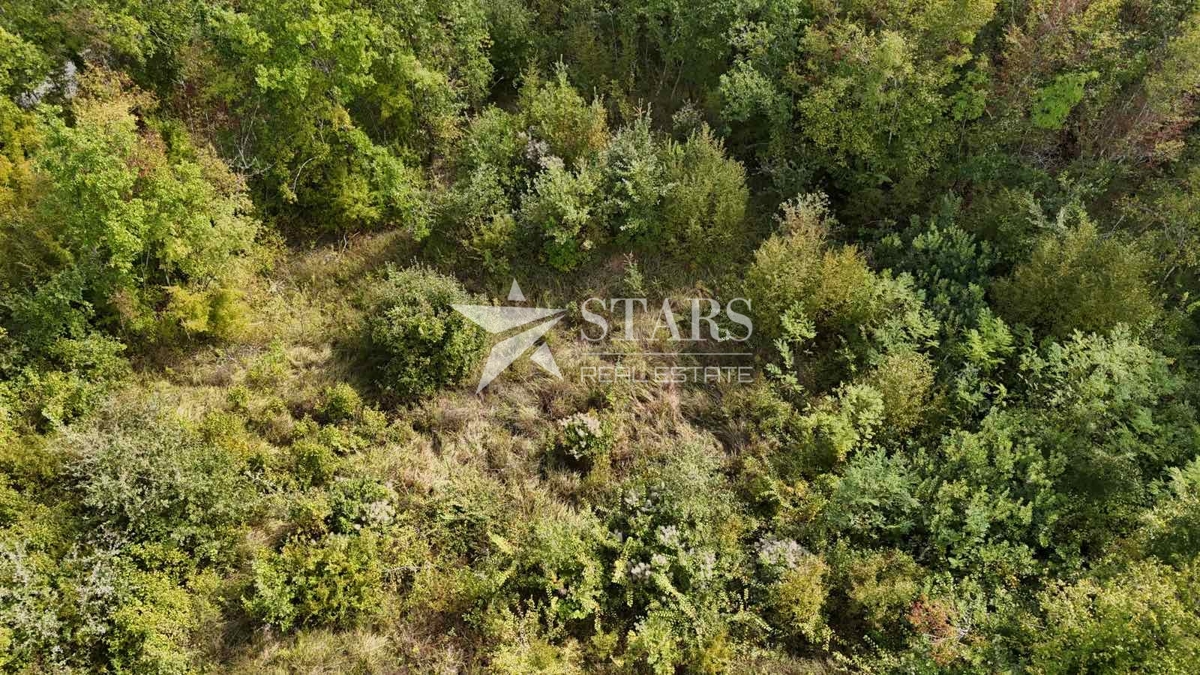 Istra, Pićan, građevinsko zemljište, 1554m2, sa građevinskom dozvolom – 2