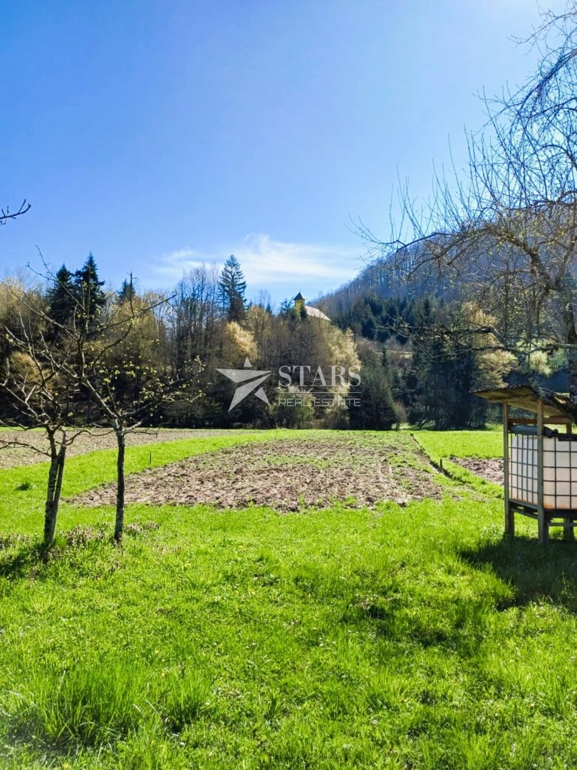 PLEŠCE