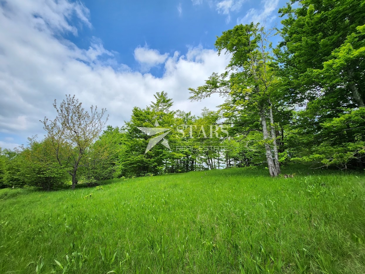Terreno RAVNA GORA, 117.000 €