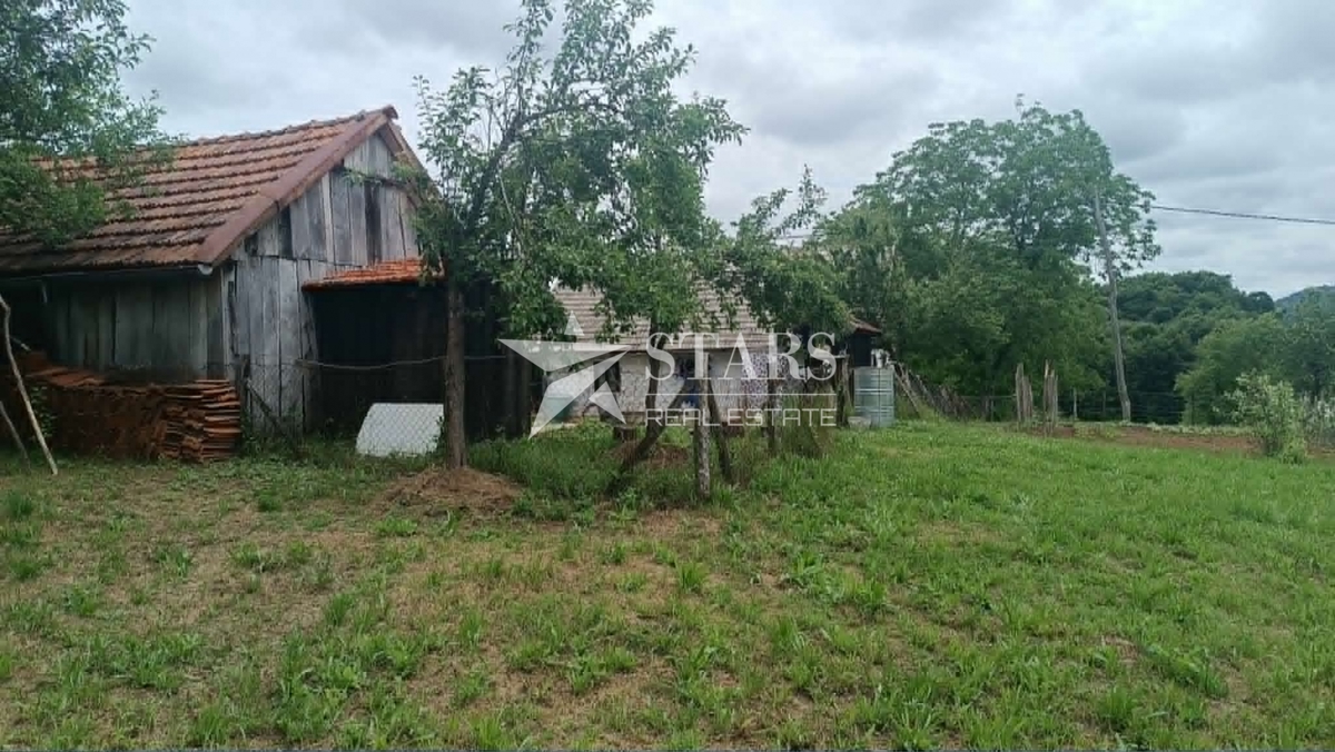 image 14