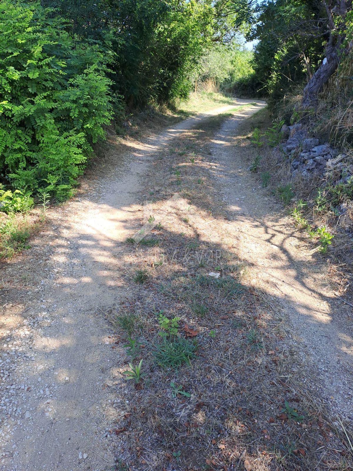 PRIVLAKA