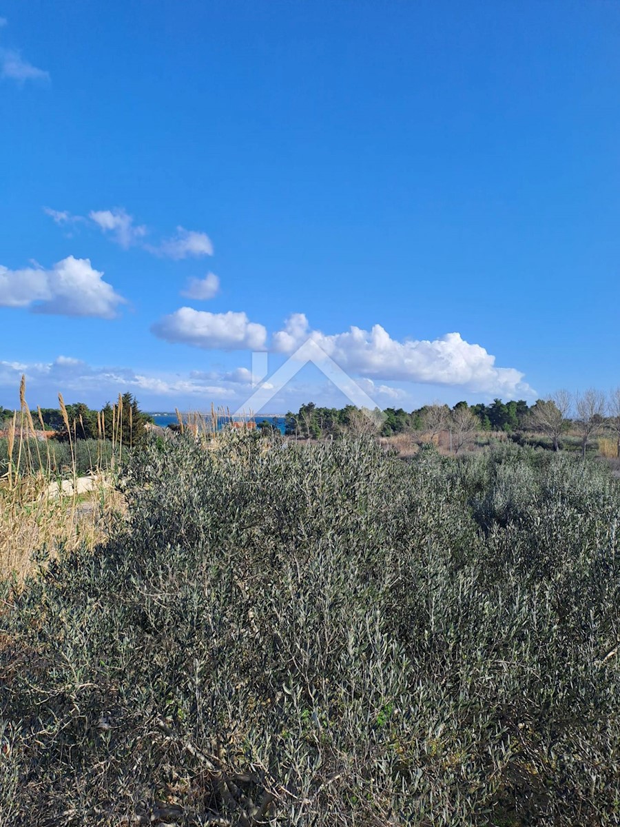 Land sale VIR, ZADARSKA Stella&Mar Vir REC ID 1043071 Details