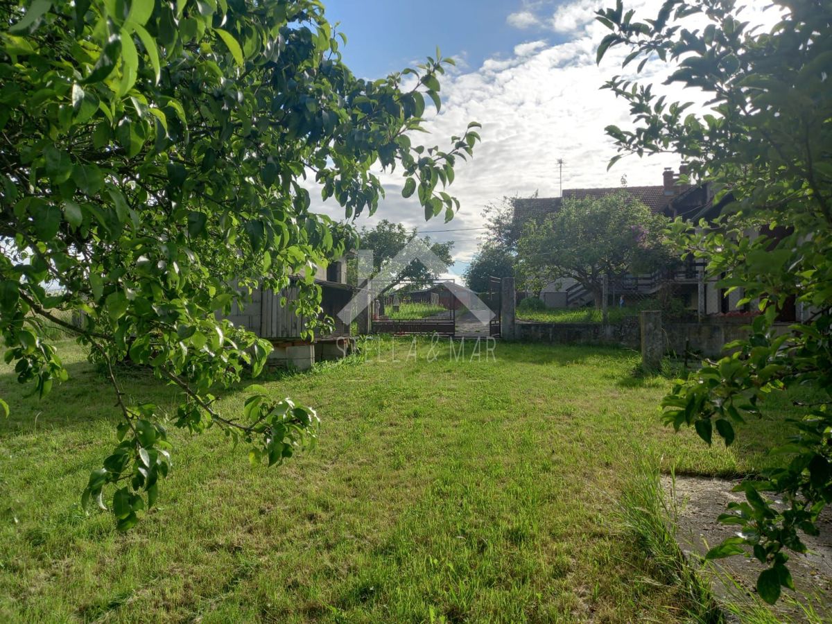 image 47