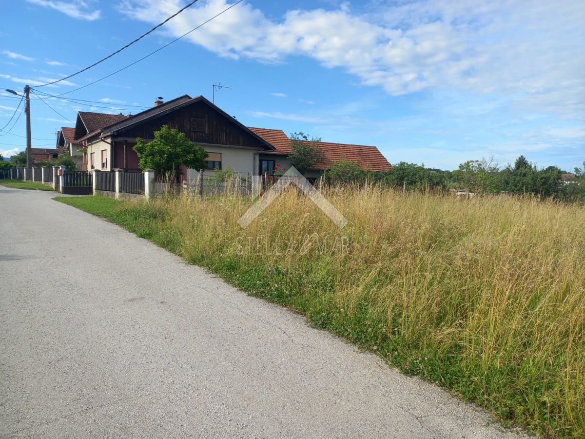 image 43