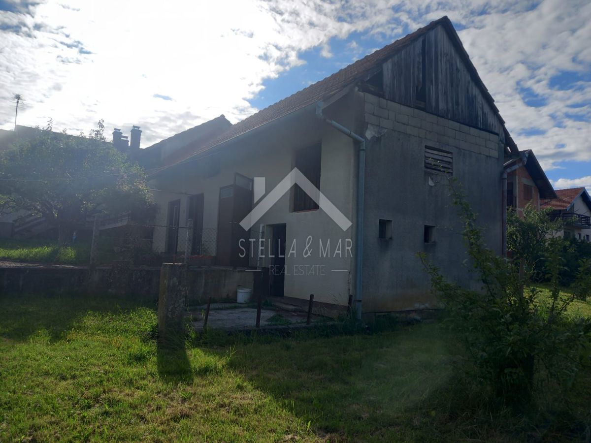 image 45