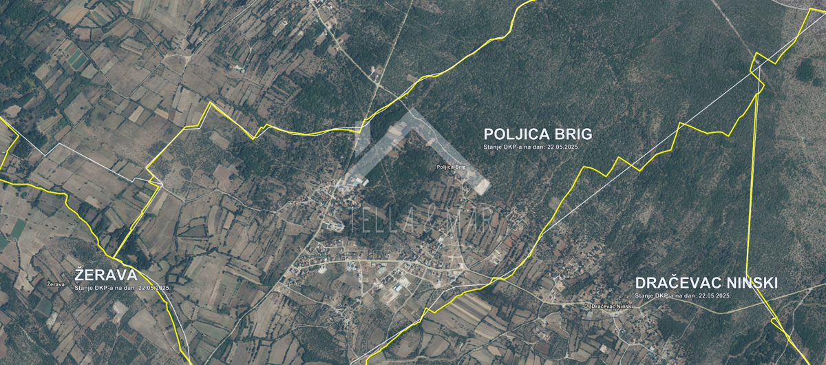 POLJICA