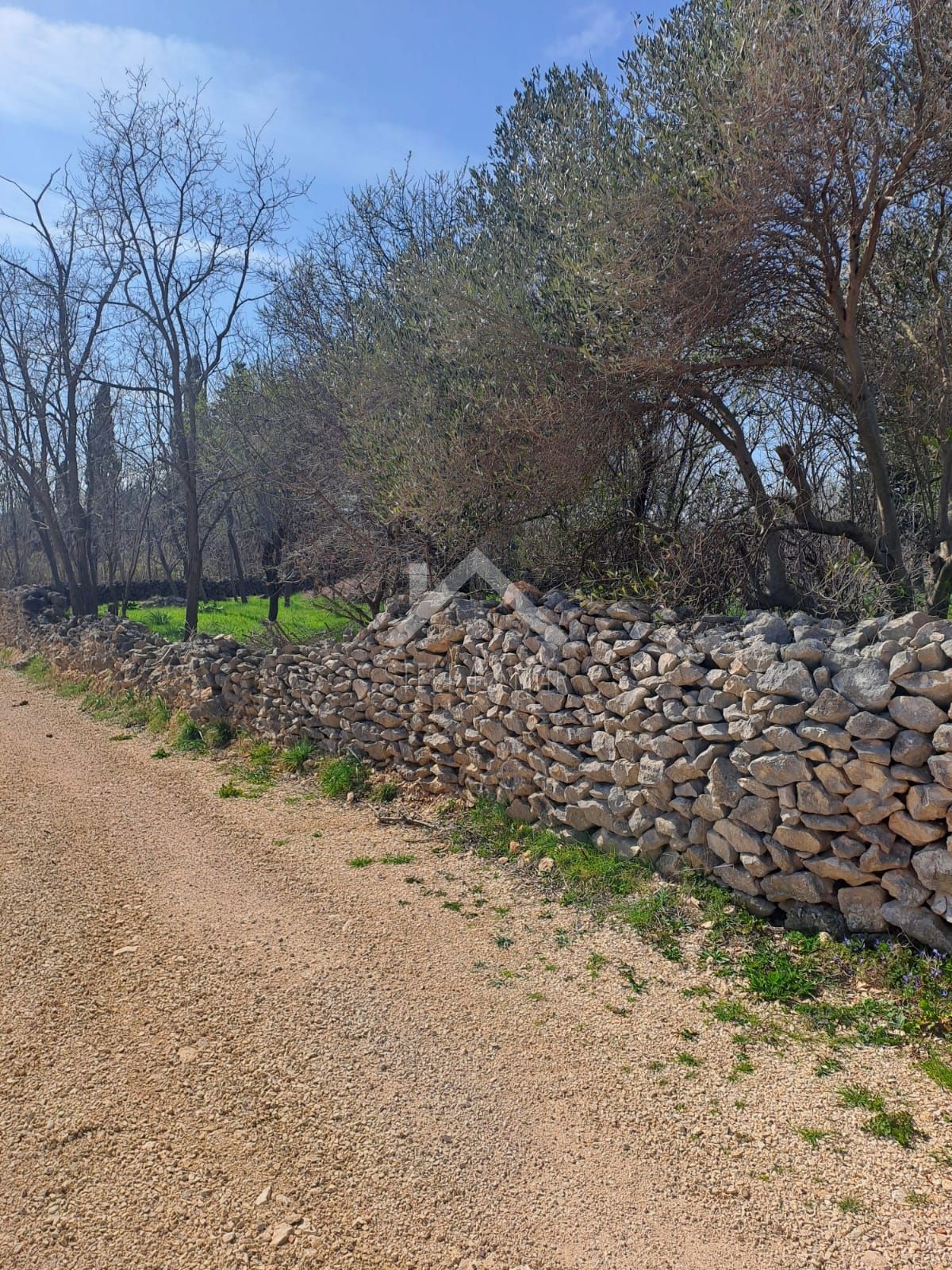 VRSI