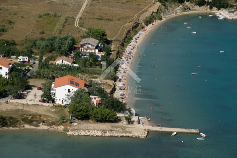VLAŠIĆI