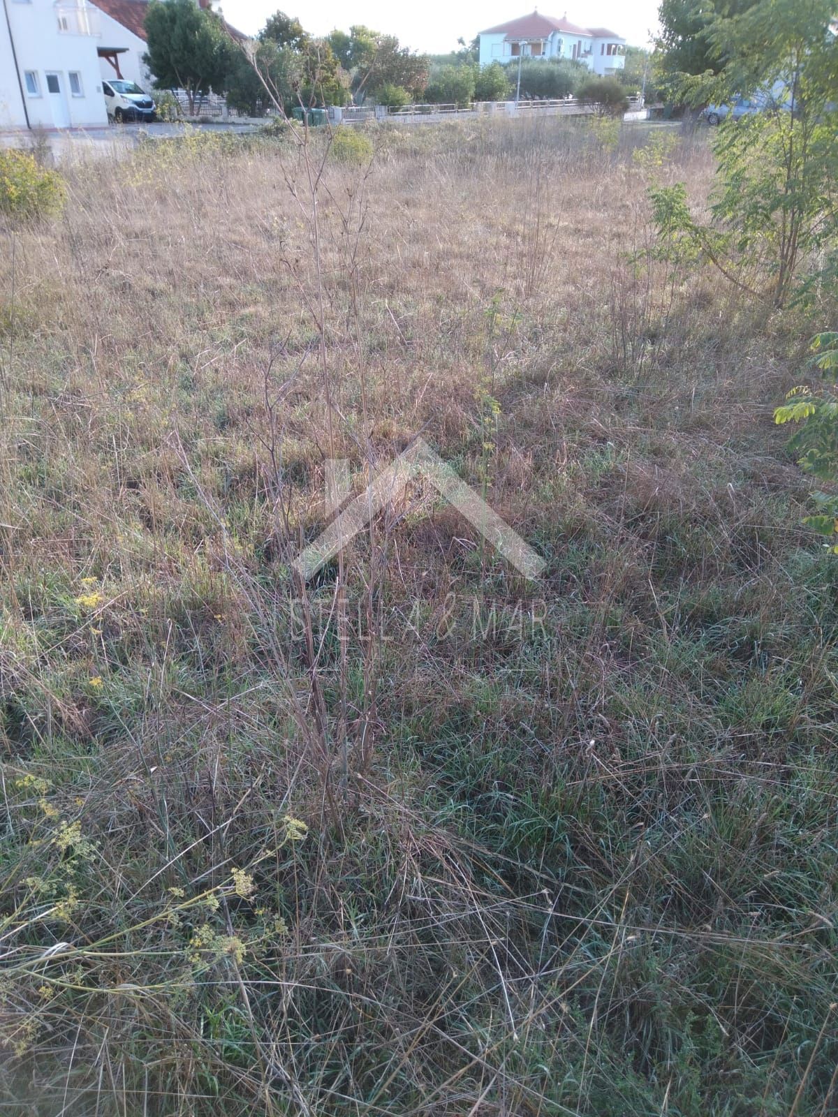 ZATON
