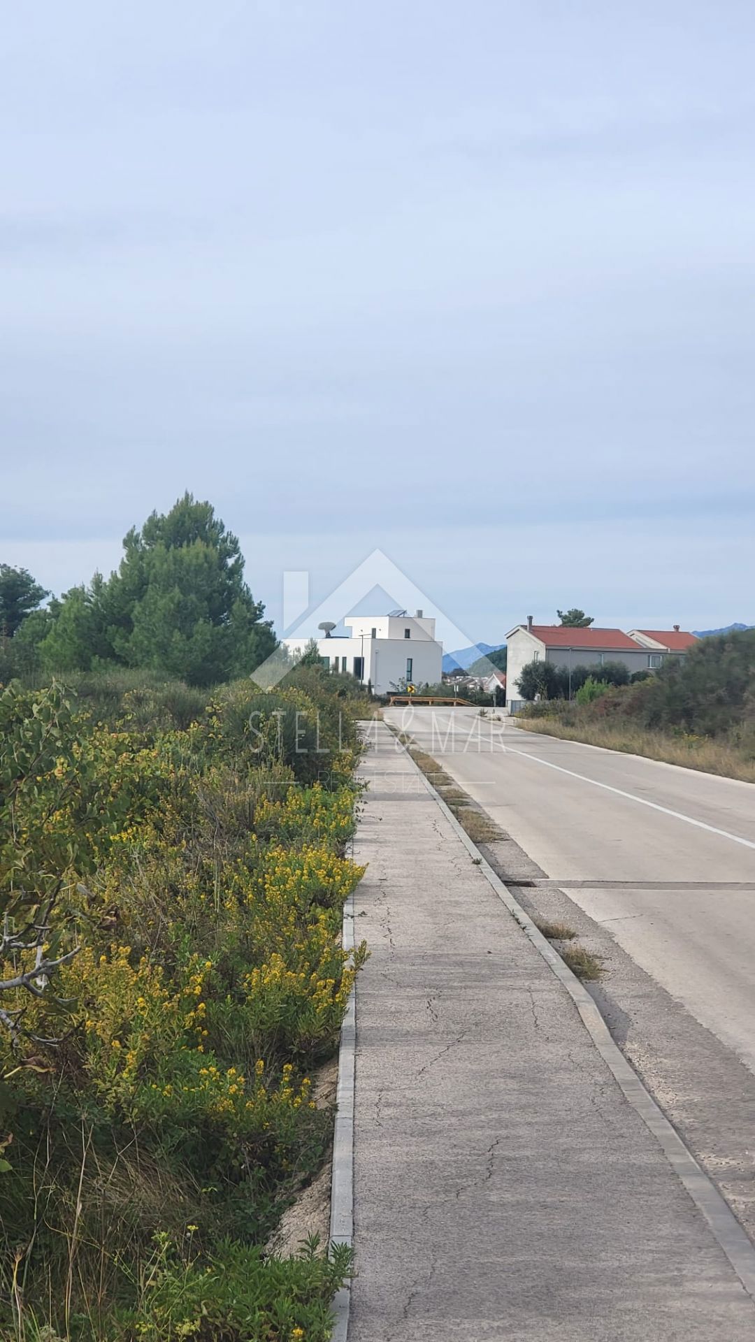LJUBAČ