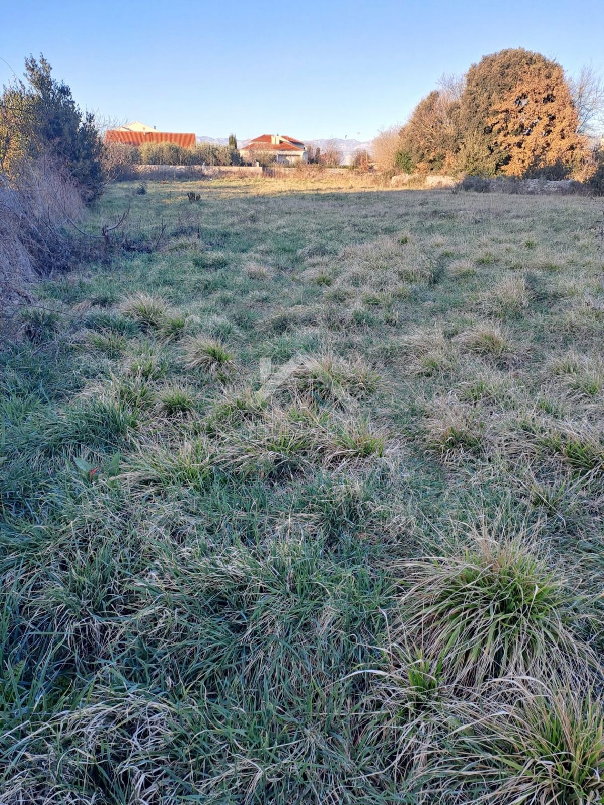 ZATON