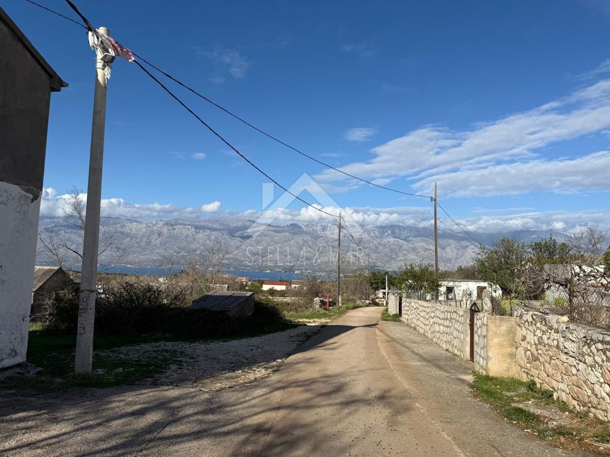 JOVIĆI