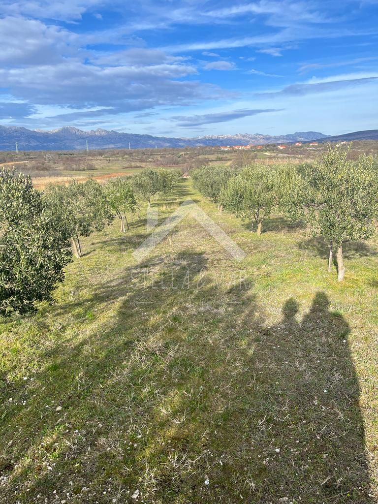 PRIDRAGA