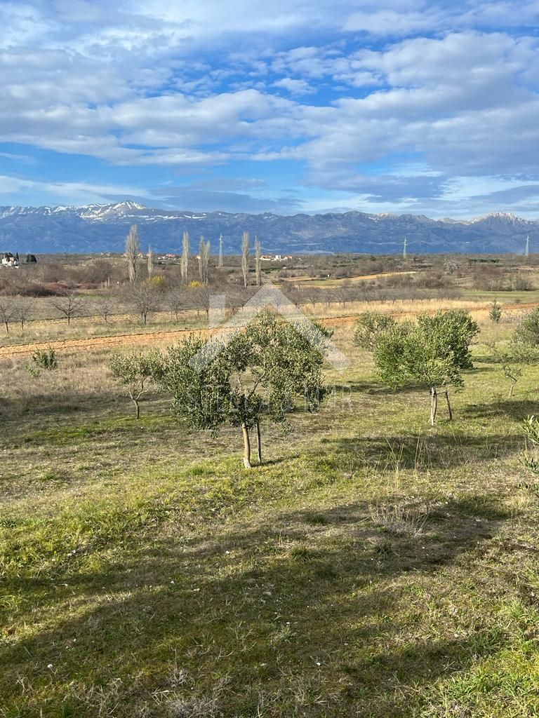PRIDRAGA