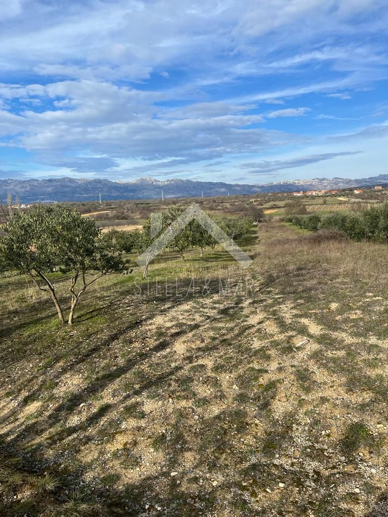 PRIDRAGA
