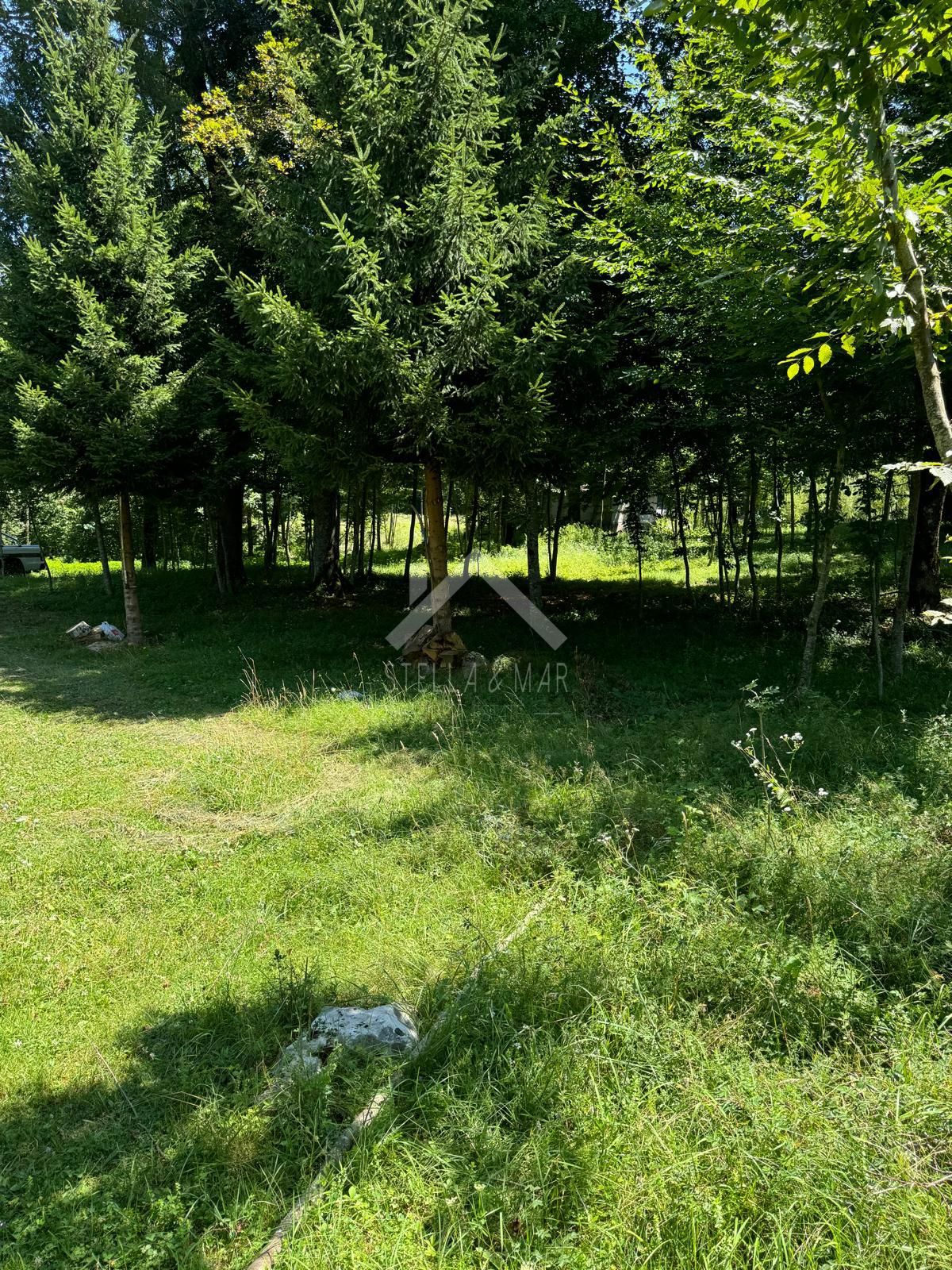 GOSPIĆ
