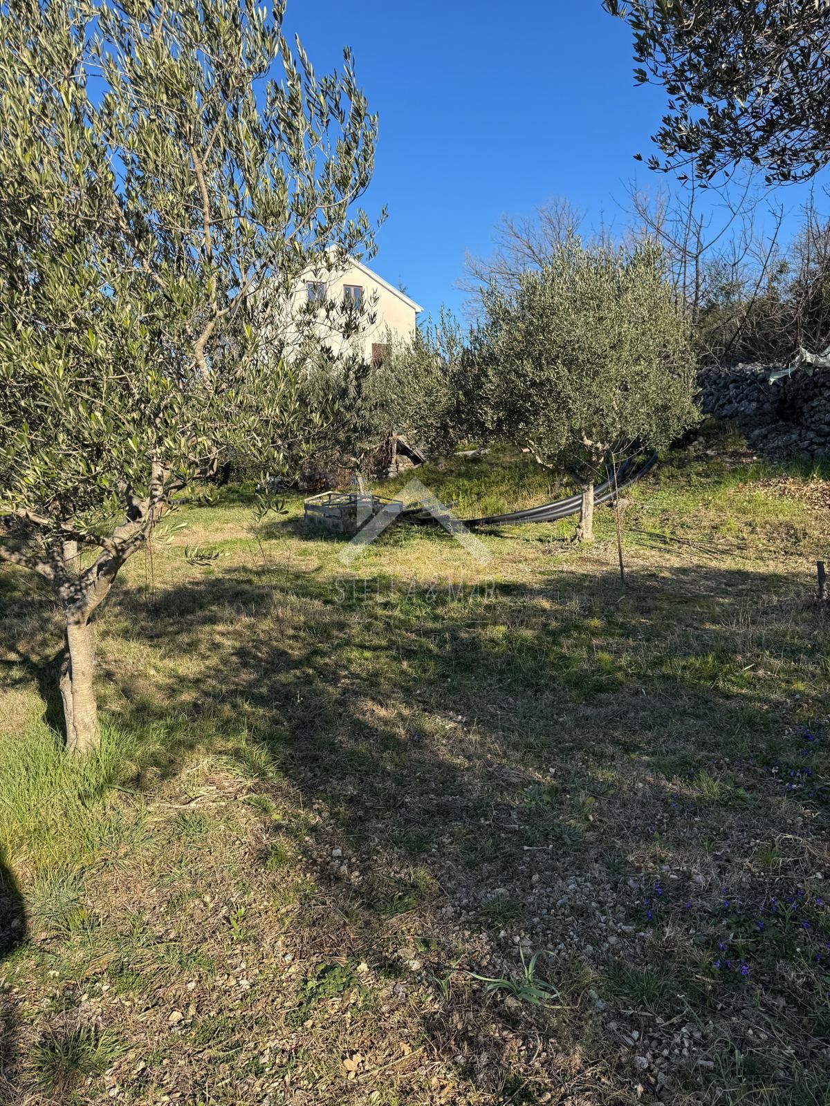 MASLENICA