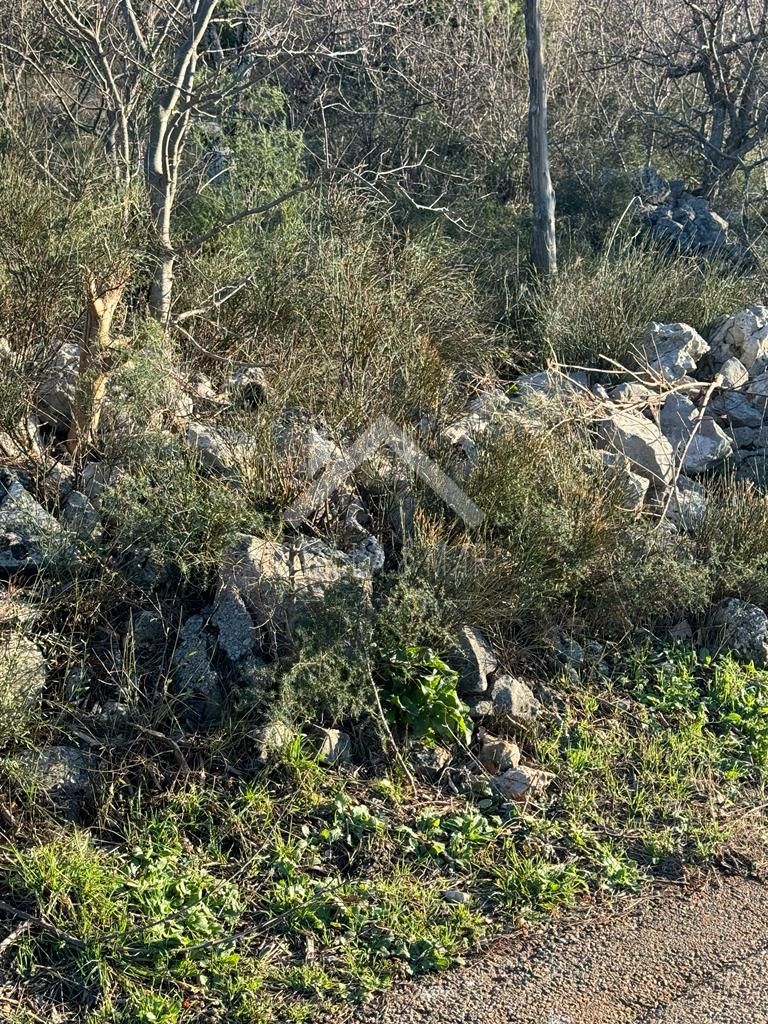 ROVANJSKA